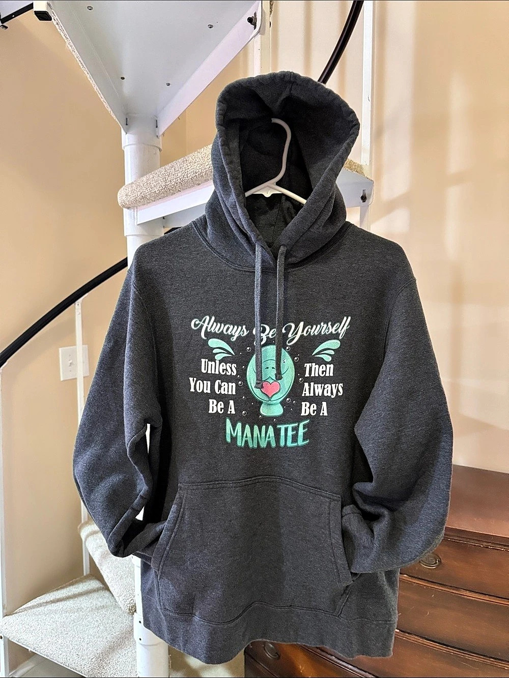 Graphic Pullover Hoodie in Gray Like New